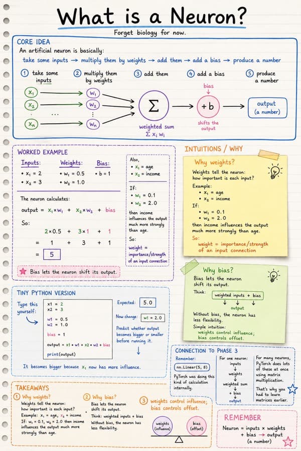 Papyr visual explanation of a neuron